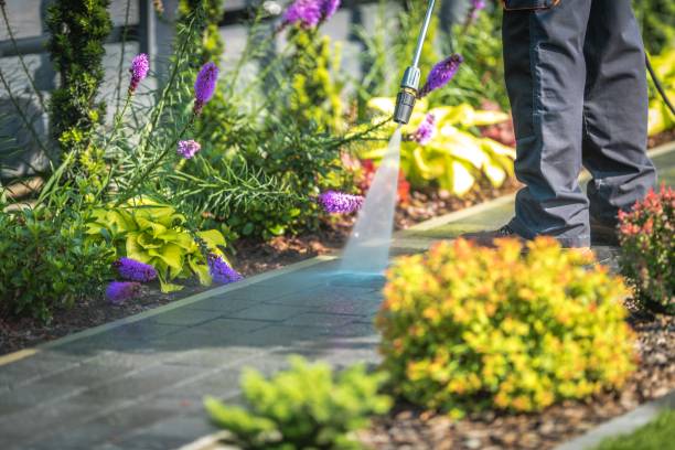 Best Winterizing Services  in Harrisville, WV
