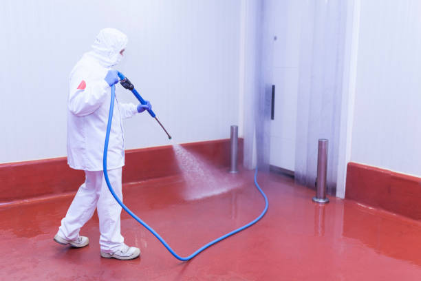 Best Driveway Pressure Washing  in Harrisville, WV